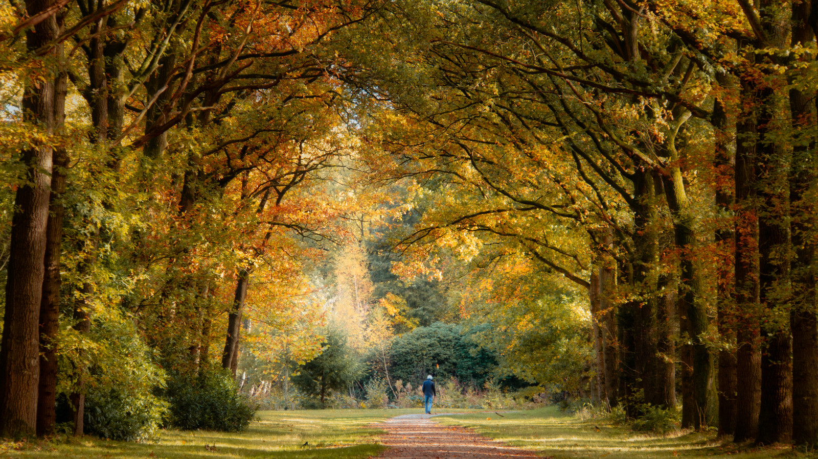 het-was-nog-nooit-zo-warm-in-arnhem-op-2-november-foto-gelderlander-nl