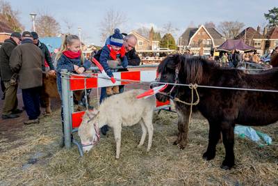 ‘Opheffing paardenmarkt was voor Goor overval’