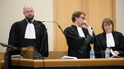 Bert Vanmechelen Hln