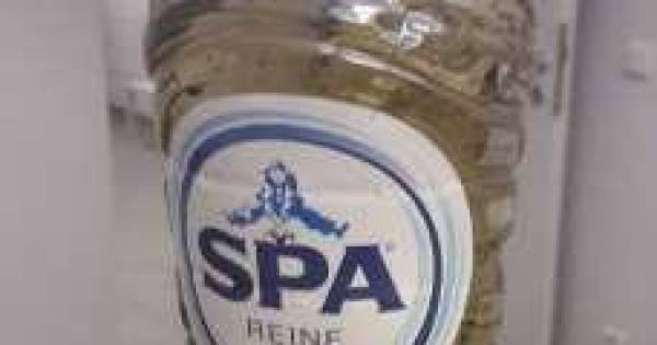 Pool smokkelt liter vloeibare amfetamine de grens over - De Gelderlander