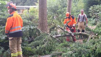 Takken op de weg in Wageningen door korte windhoos