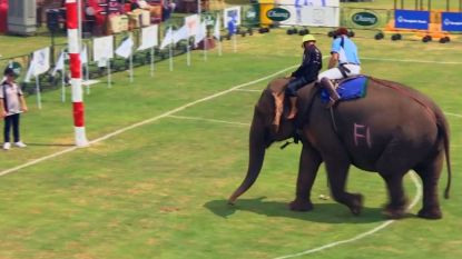 In Bangkok spelen ze olifantenpolo voor het goede doel 