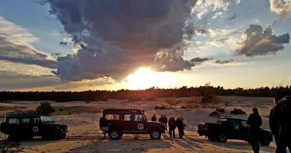 Met boswachter op safari in het Leenderbos in Leende