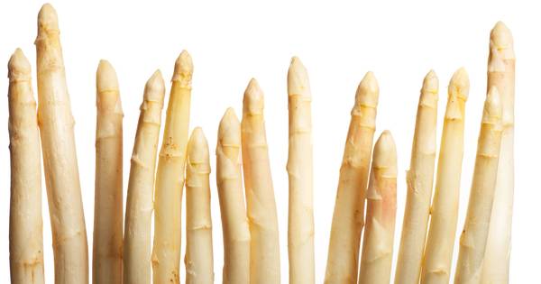 Witte goud: Brabant na Limburg topleverancier asperges - BD.nl