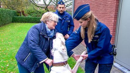12. Aflevering 12