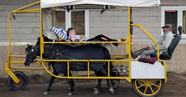 Huifbed: een super-de-luxe-hangmat op een ponyrug