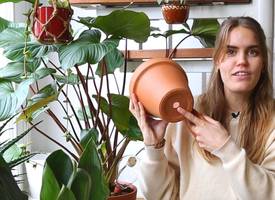 Zoveel water heeft een plant écht nodig