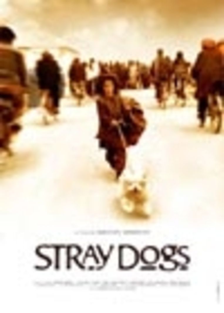 Review Stray Dogs Humo