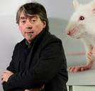 Michel Vandenbosch (Gaia) over de actie van Animal Resistance tegen foie gras: ‘We zouden het risico niet nemen’