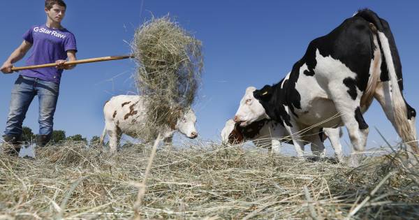 Biologisch boeren is in trek, ook om de hoek