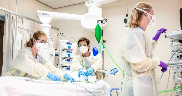Umc S Pleiten Voor Hoger Salaris Verpleegkundigen Laten We