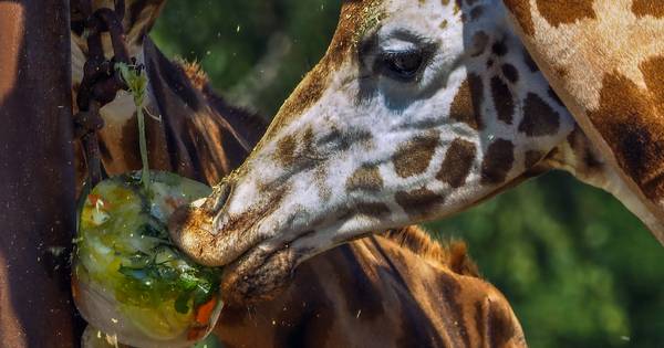 Uniek warmterecord gebroken, code oranje beëindigd, verwachte neerslag blijft uit - BD.nl