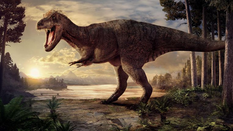 Výsledek obrázku pro dinosaurus rex