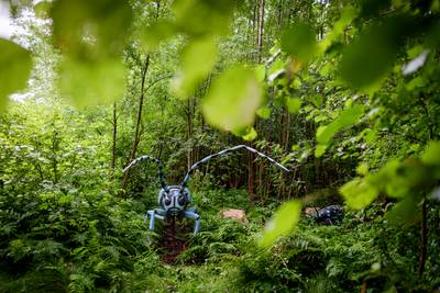 Succesvol Big Insects in Denekamp ten einde, ruim 17.500 bezoekers