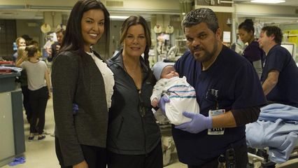 13. Le poids des maux