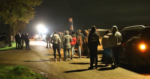 Boeren in opperste staat van paraatheid vanwege mogelijke actie van dierenactivisten - BD.nl