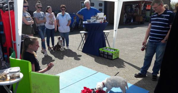 Maya en Dusty trainen hun hersentjes, ook bij 25 graden