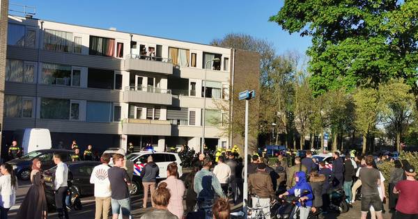 Grote vechtpartij in Overvecht, arrestatie voor wapenbezit | Algemeen - Eindhovens Dagblad