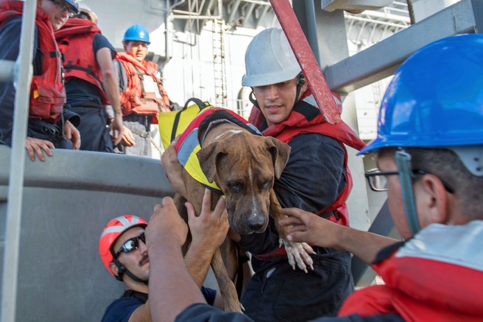 Ook Zeus kan na vijf maanden op drift op de Stille Oceaan eindelijk aan boord komen.