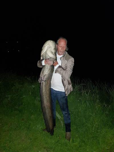 Hennie hengelt monstermeerval uit Deventer singel