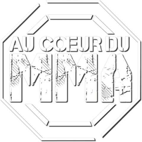 Au cœur du MMA