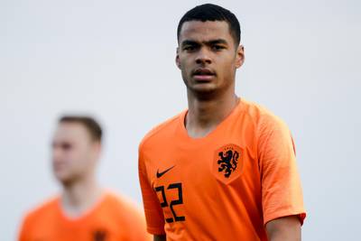 Gakpo schiet Jong Oranje naar oefenzege op Egypte