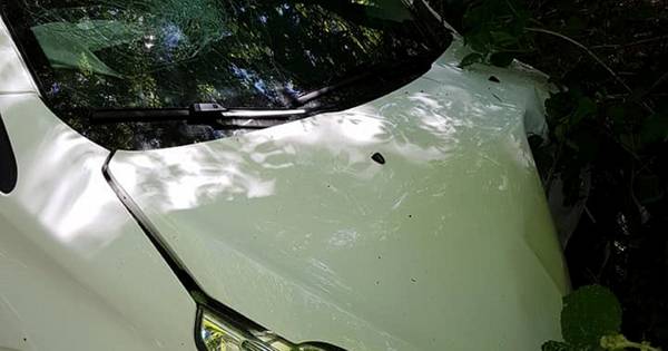 Met auto tegen boom in Noordijk: bestuurder heeft te veel alcohol op