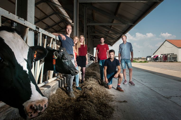 Ontmoet de nieuwe, enthousiaste generatie boeren: 'Dat boerenbloed, dat heb je gewoon' - Trouw