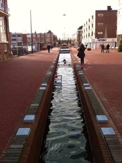 Zwemmers nemen nieuwjaarsduik in Jansbeek Arnhem