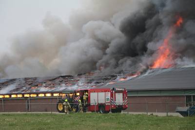 Brand in schuur: duizenden kippen komen om in Renswoude