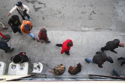 Ruim 130 migranten gered uit bloedhete truck in Mexico