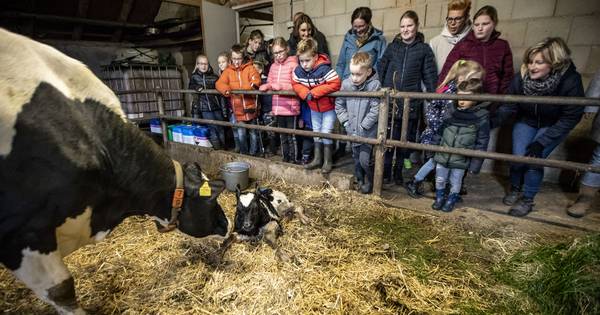 Burgerinitiatief buurtschap Hezingen begint petitie voor leefbaarheid op platteland - Tubantia