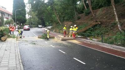 Boom schampt huis en sluit Van Randwijckweg in Beek uur lang af