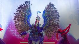 Pauw heeft beslist: Training Season is over!