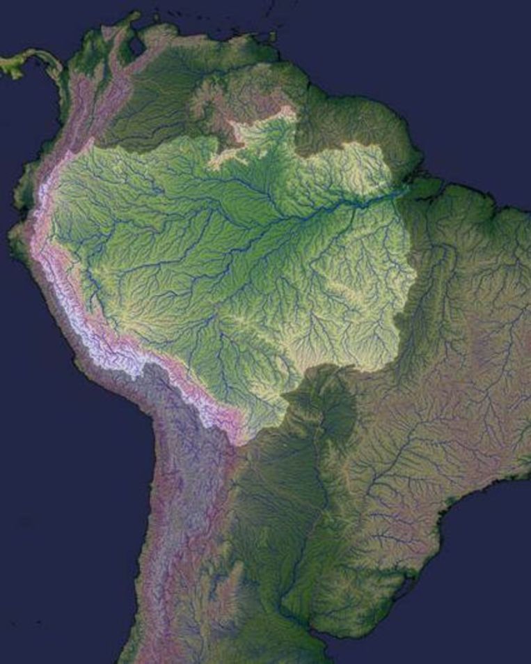 Brazilië wil Amazone volledig in kaart brengen Milieu Wetenschap