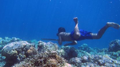 Knap staaltje evolutie: hoe deze onderwatervissers langzaam maar zeker transformeren in ‘aquamensen’