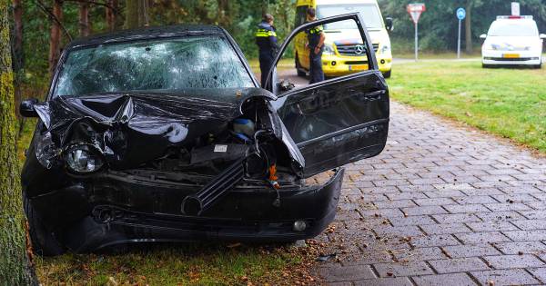 Auto vliegt uit de bocht in Tilburg en komt tegen boom tot stilstand.