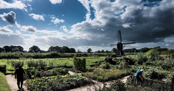Onrust over windmolens bij Oude IJssel: 'Hoort niet in ons prachtige coulissenlandschap' - De Gelder