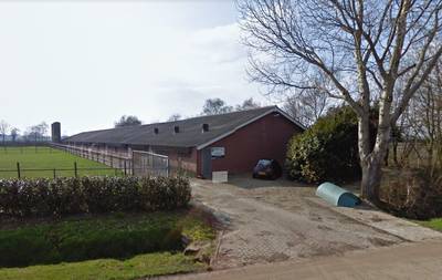 Hilvarenbeek: ‘Gedogen varkensstal in Esbeek duurde te lang’