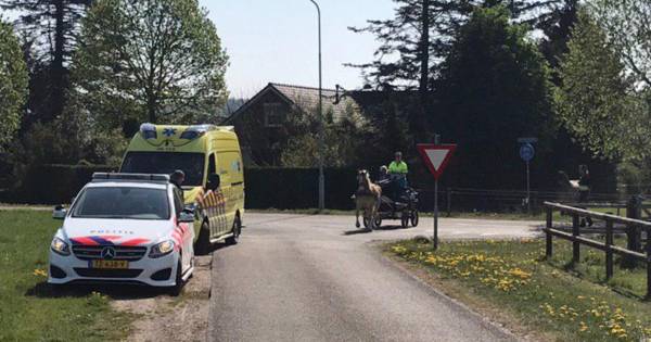 Politie vindt bij Kilder loslopend paard met gewonde koetsier