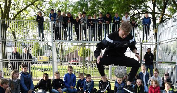 Een eigen kooi voor Dominik, Wesley en Bartik