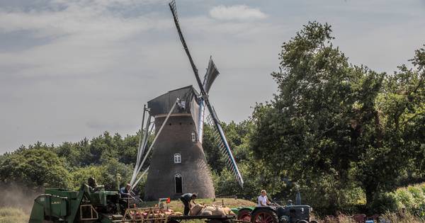Nostalgische oogstdag in Vlierden | De Peel - Eindhovens Dagblad