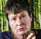 Stamcelonderzoek van Leuvense prof ligt onder vuur