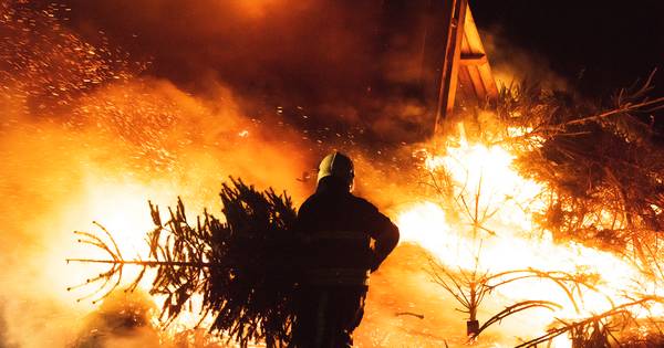 Vreugdevuur met kerstbomen in Riel