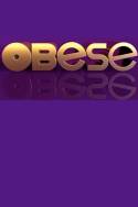 boxcover van Obese NL