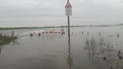 Hordes 'hoogwatertoeristen' in Nijmegen: 'dit is zo indrukwekkend'