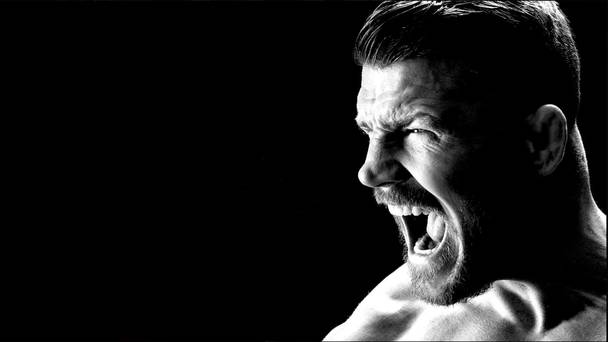 Bisping