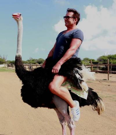 'Gerard Jolings struisvogelritje kan niet veel kwaad'