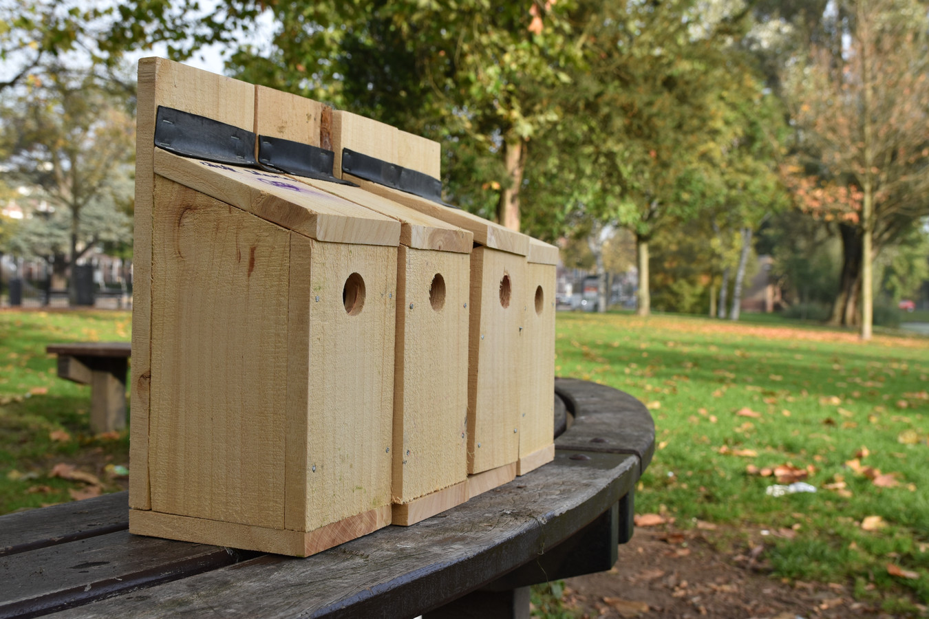 Goede Kinderen timmeren vogelhuisjes voor koolmezen: vogels moeten SK-08