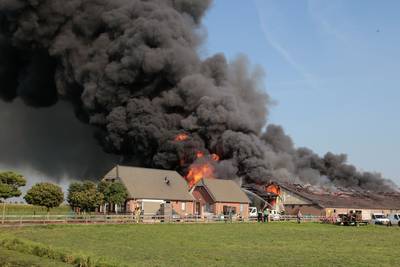 Brandlucht in de Betuwe door grote brand in varkensstal Streefkerk